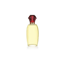 Load image into Gallery viewer, Paul Sebastian DESIGN Perfume For Women, Day & Night Soft Floral Fragrance Spray, 3.4 oz