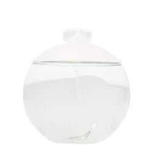 Load image into Gallery viewer, Cacharel Noa Eau de Toilette Splash, 3.4 Ounce