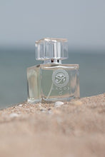 Load image into Gallery viewer, ARGOS POUR HOMME 100ML Perfume