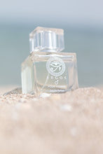 Load image into Gallery viewer, ARGOS POUR HOMME 100ML Perfume