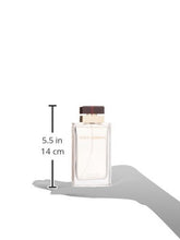 Load image into Gallery viewer, Dolce and Gabbana Pour Femme Eau de Parfum Spray for Women, 3.3 Ounce