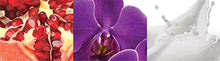 Load image into Gallery viewer, Calvin Klein euphoria Eau de Parfum, 1.7 Fl. Oz.