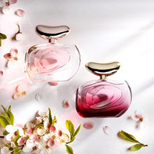 Load image into Gallery viewer, Vince Camuto Illuminare Sugar and Spice Set, 0.34 fl. oz.