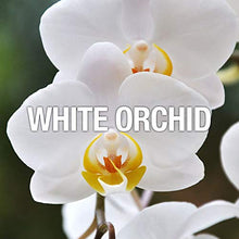 Load image into Gallery viewer, Curve Crush Eau De Toilette Perfume Spray, Perfume for Women 1.7oz