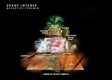 Load image into Gallery viewer, CoSTUME NATIONAL Scent Intense Eau de Parfum Spray, 3.4 Fl Oz