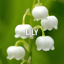 Load image into Gallery viewer, Wings by Giorgio Beverly Hills for Women, Eau De Toilette Spray, 3-Ounce