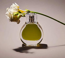 Load image into Gallery viewer, Kendall by KKW Fragrance Olive