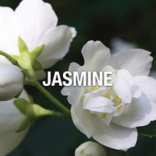 Load image into Gallery viewer, Wings by Giorgio Beverly Hills for Women, Eau De Toilette Spray, 3-Ounce