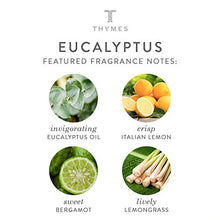 Load image into Gallery viewer, Thymes Cologne - 1.75 Fl Oz - Eucalyptus