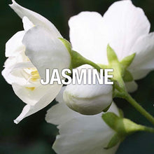 Load image into Gallery viewer, Curve Spark Eau De Toilette Perfume Spray, Perfume for Women 1.0oz