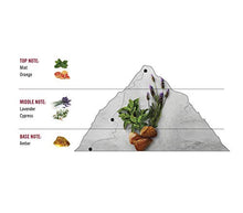 Load image into Gallery viewer, Swiss Army Classic by Victorinox for Men 3.4 Oz / 100ml Eau de Toilette