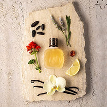 Load image into Gallery viewer, Paloma Picasso Minotaure For Men. Eau De Toilette Spray 2.5 Ounces