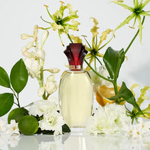 Load image into Gallery viewer, Design by Paul Sebastian for Women, Fine Parfum Spray, 1.7-Ounce