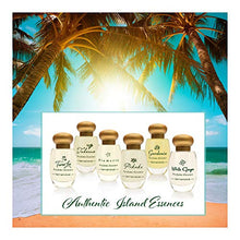 Load image into Gallery viewer, Terranova White Ginger Perfume - 0.4 Fl Oz