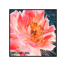 Load image into Gallery viewer, Dior JOY by Dior Eau de Parfum INTENSE 1.7 fl. oz.