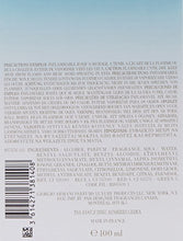 Load image into Gallery viewer, Giorgio Armani Air Di Gioia Eau De Parfum Spray 100ml/3.4oz