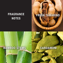 Load image into Gallery viewer, LUCKY You Cologne Spray for Men, Day or Night Casual Scent with Bamboo Stem Fragrance Notes, 3.4 Ounce