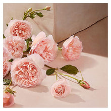 Load image into Gallery viewer, Chloe L'Eau Eau de Toilette 1.6 oz / 50 ml Spray For Women 2019