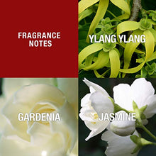 Load image into Gallery viewer, Paul Sebastian DESIGN Perfume For Women, Day & Night Soft Floral Fragrance Spray, 3.4 oz