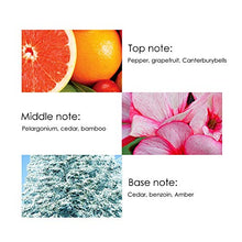 Load image into Gallery viewer, Eau de Toilette Spray,Men Perfume, French Men Fragrance Long-Lasting Cologne Perfume Birthday Gift 80ML(Brown)