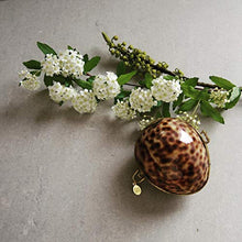 Load image into Gallery viewer, Solid Perfume - Jasmine & Clary Sage Fragrance by Roots Rose Radish - All Natural & Organic (.75oz)