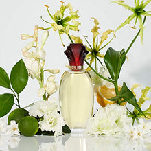 Load image into Gallery viewer, Paul Sebastian DESIGN Perfume For Women, Day & Night Soft Floral Fragrance Spray, 3.4 oz