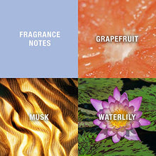 Load image into Gallery viewer, Curve by Liz Claiborne Perfume for Women, Sparkling Eau De Toilette Spray, 3.4 oz