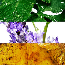 Load image into Gallery viewer, Cool Water By Davidoff For Men. Eau De Toilette Spray 4.2 Fl Oz (Pack of 1)