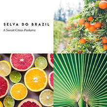 Load image into Gallery viewer, Berdoues Eau de Parfum Spray , Scorza Di Sicilia, For Women, 3.4 Fl oz