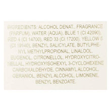 Load image into Gallery viewer, Eternal Love For Women 100 ml Eau De Parfum Spray
