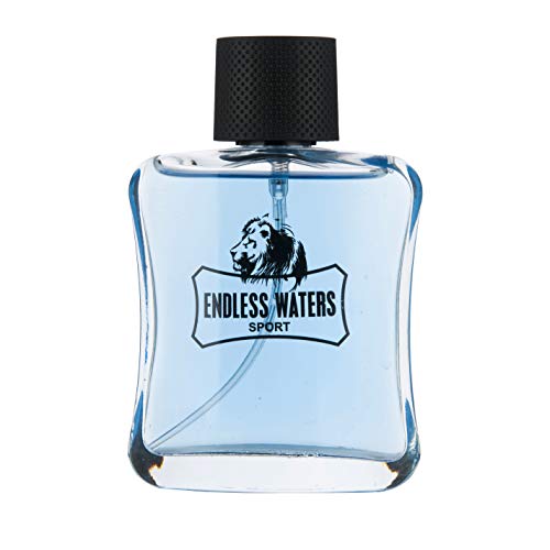 Perfume&Beauty ENDLESS WATERS Perfume for Men Parfum 100ML 3.4 fl.oz-Blue