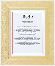 Load image into Gallery viewer, Bois 1920 Agrumi Amari Di Sicilia Eau De Parfum Spray 3.4 Ounce
