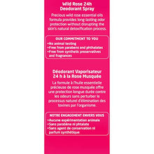 Load image into Gallery viewer, Weleda Wild Rose 24h Deodorant Spray, 3.4 Ounce
