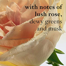 Load image into Gallery viewer, philosophy pure grace nude rose eau de parfum, 2 Fl. Oz, 2 fl. oz.
