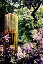 Load image into Gallery viewer, Eau De Private Collection By Estee Lauder Fragrance Spray 1.7 Oz Women
