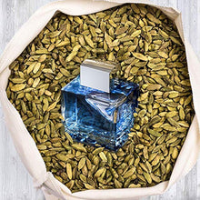 Load image into Gallery viewer, Antonio Banderas Perfumes - Blue Seduction - Eau de Toilette Spray for Men - Woody, Fresh Oriental, Aromatic Foug?¿re Fragrance - 3.4 Fl Oz
