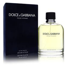 Load image into Gallery viewer, Dolce &amp; Gabbana Eau De Toilette Spray By Dolce &amp; Gabbana

